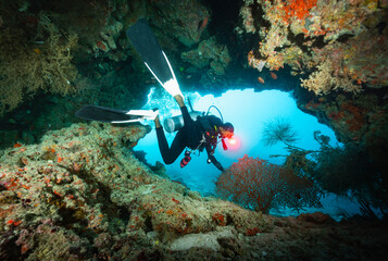 local dive master exploring reef in the Maldives
