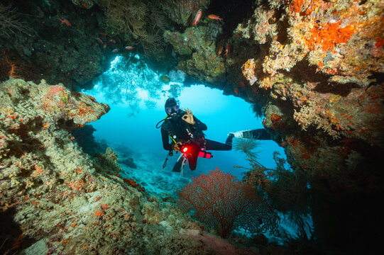 local dive master exploring reef in the Maldives