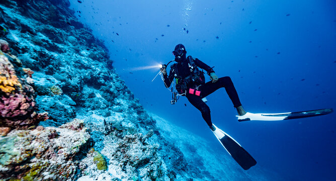 local dive master exploring reef in the Maldives