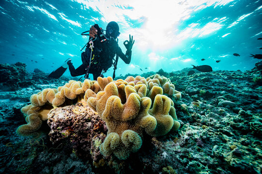 local dive master exploring reef in the Maldives