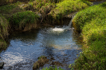 Obraz premium Clear Stream Water Flowing Between Green Grass Banks