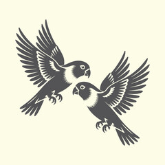 Fototapeta premium Two grey parrots in flight with wings spread birds