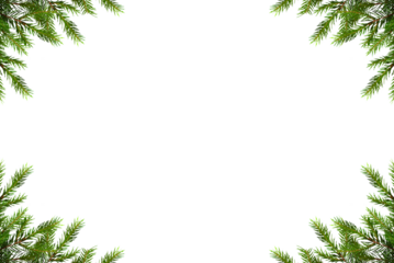 Christmas frame with fir branches isolated on a transparent background, png