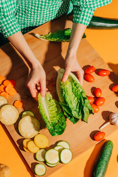 Woman preparing fresh vegetable salad in the kitchen