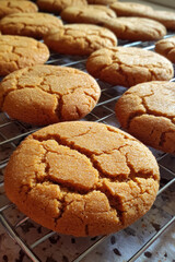 Fresh Baked Ginger Cookies Cooling on Wire Rack