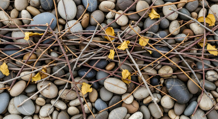 Textured natural arrangement of smooth river stones and delicate dried twigs with scattered autumn leaves creating a rustic, organic backdrop.