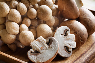 ブラウンマッシュルームとブナシメジ