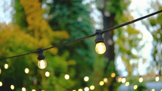 Outdoor string lights glowing against blurred green trees in autumn