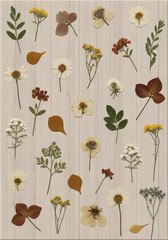 Delicate pressed flowers and leaves artfully arranged on a light wood textured background, evoking vintage charm and natural beauty for creative projects