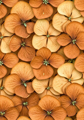 Stunning close-up of dried, warm autumn hydrangea petals in a rich, earthy brown and golden palette creating a textured, natural pattern