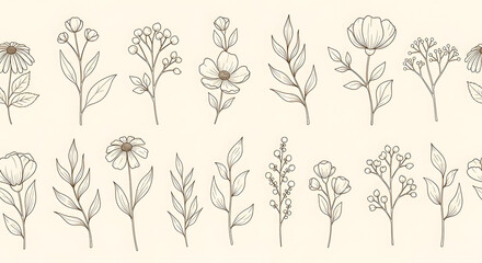 Delicate hand drawn floral elements and botanical illustrations evoke natural beauty and organic design perfect for invitations and branding