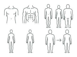 Outline drawings of male body types and anatomy studies