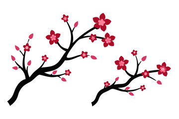 Plum blossom branch vector illustration isolated on white background