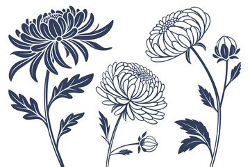Peony and chrysanthemum silhouette vector illustration isolated on white background