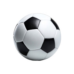 Soccer ball, black and white panels (1)