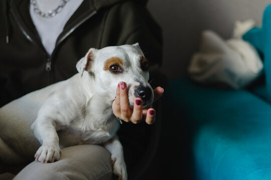 Girl holding dog face sitting at home