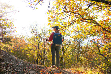 young girl with a backpack is hiking alone in nature