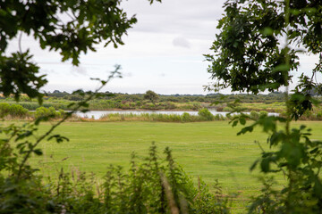 Lac vu entre les arbres