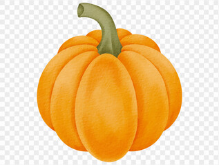 Orange pumpkin watercolor illustration for fall Thanksgiving harvest. Vector.
