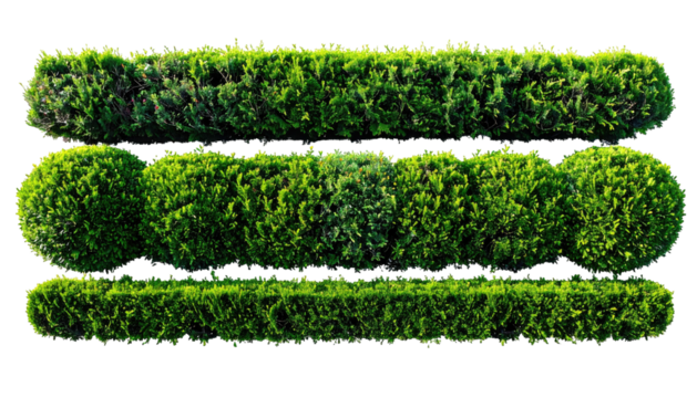 Three layers of intricately shaped green shrubs on a black backdrop