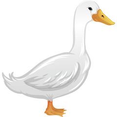White Duck Standing Portrait Clean Detailed Feathers Orange Beak and Feet Isolated on White Background Studio Shot