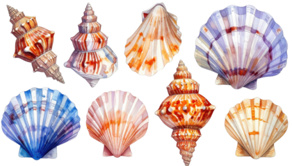 Eight diverse watercolor seashells arranged on a dark background