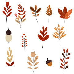 Modern Scandinavian style autumn botanicals in warm hues minimalist leaves, berries, and acorns evoke cozy seasonal charm with clean lines and natural elegance.