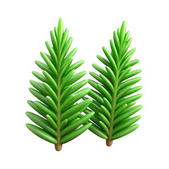 3d realistic pine sprigs isolated on transparent background