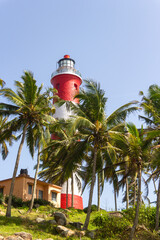 Red and White Striped Lighthouse Peeking Above Tropical Coconut Palm Trees