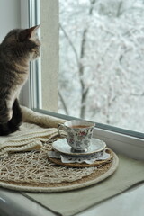 Winter photo of a cat on a windowsill.


