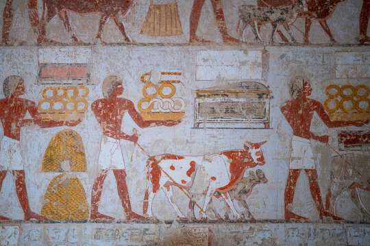 Ancient Egyptian Wall Painting of Figures Bringing Cattle Offerings in Tomb of Rekhmire