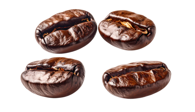 Four glossy roasted coffee beans against a black background