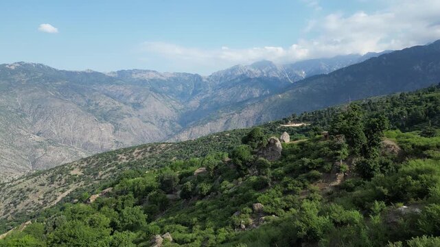 Terraced agriculture fields, Lush forests in mountains in Sangar Valley, Afghanistan, Drone Aerial