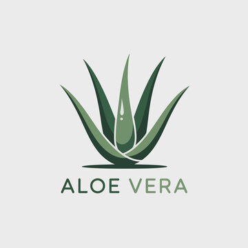 A distinctive logo featuring an aloe vera plant with a droplet, promoting natural products with an emphasis on health and well-being in a visually appealing manner.