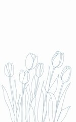 Fototapeta premium Hand-drawn tulip bouquet illustration in thin lines — botanical sketch for design and decoration