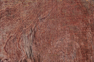 Natural texture close-up: an organic pattern of cracks, grooves, and rough surface