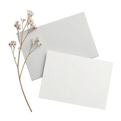 3d blank white cards with dried flowers isolated on transparent background