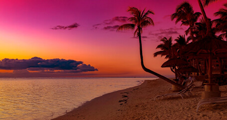 The Tropical  Sunset  Beach in Summer with sky scene as palm trees on the beach background