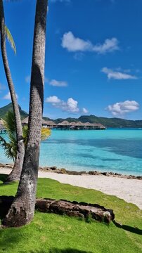 Vertical View, Luxury Tropical Resort on Bora Bora Island, French Polynesia. Overwater Bungalows and Landscape