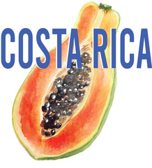 Fototapeta premium Tropical papaya fruit juicy citrus trending fruity cute Costa Rica tropical vacation summer t-shirt design Slogan Logo Graphic Vector Tee shirt fruit apparel print style vector fruits fashion mango