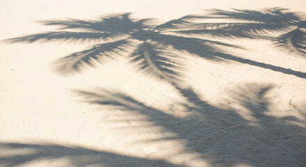 Soft focus palm tree shadows cast across a warm hazy tropical sky at sunset