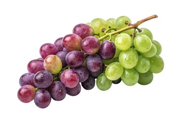 Obraz premium bunch of grapes