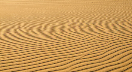 Golden desert sand dunes showcasing ripples and textures created by wind