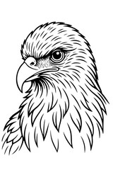 Eagle Head Line Art – Detailed Black and White Illustration