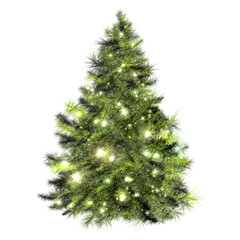 christmas tree isolated 