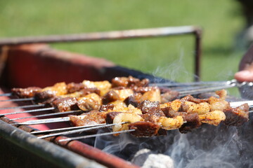 Grilled Lamb Skewers Night Market Barbecue