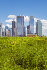 City Skyline with Greenery