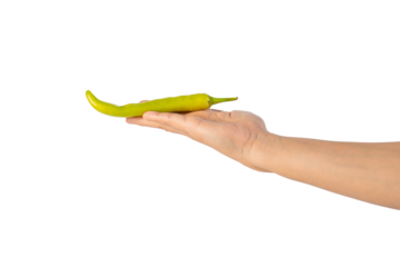 Green sweet pepper in hand on transparent background