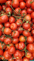 Fresh Stemmed Tomatoes on Grocery Store Shelves
