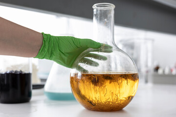 A technician's hand in a green nitrile glove holds a round-bottom flask. Dried calendula (marigold) flowers are steeping in yellow oil, part of an extraction process for organic cosmetics.
